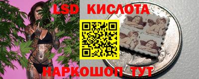 гидропоника Бузулук